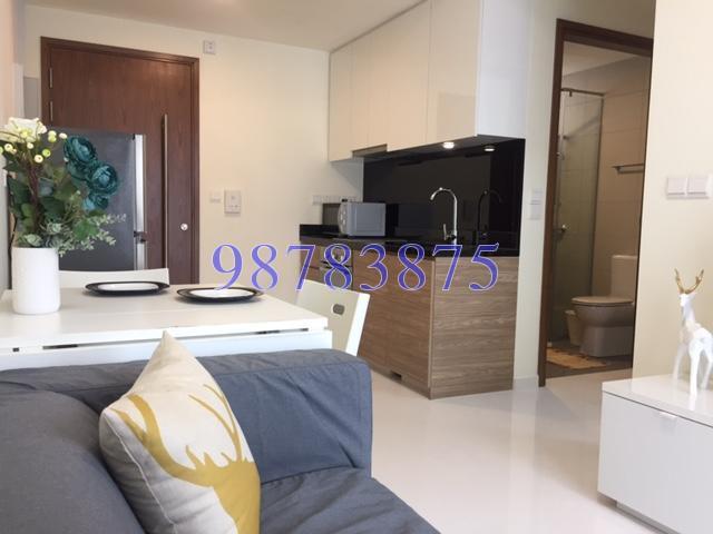 Whitehaven (D5), Apartment #142229372